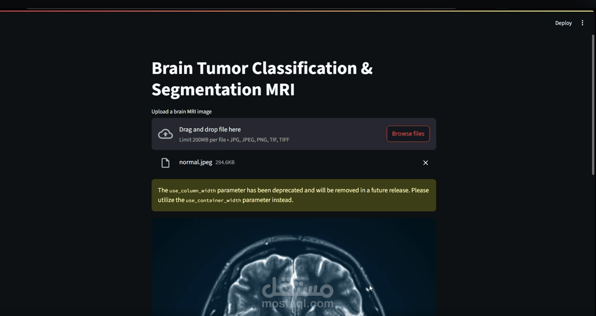 طبيق ويب للتصنيف والتجزئة الطبية باستخدام الذكاء الاصطناعي Brain-Tumor-MRI-Detection-and-Segmentation