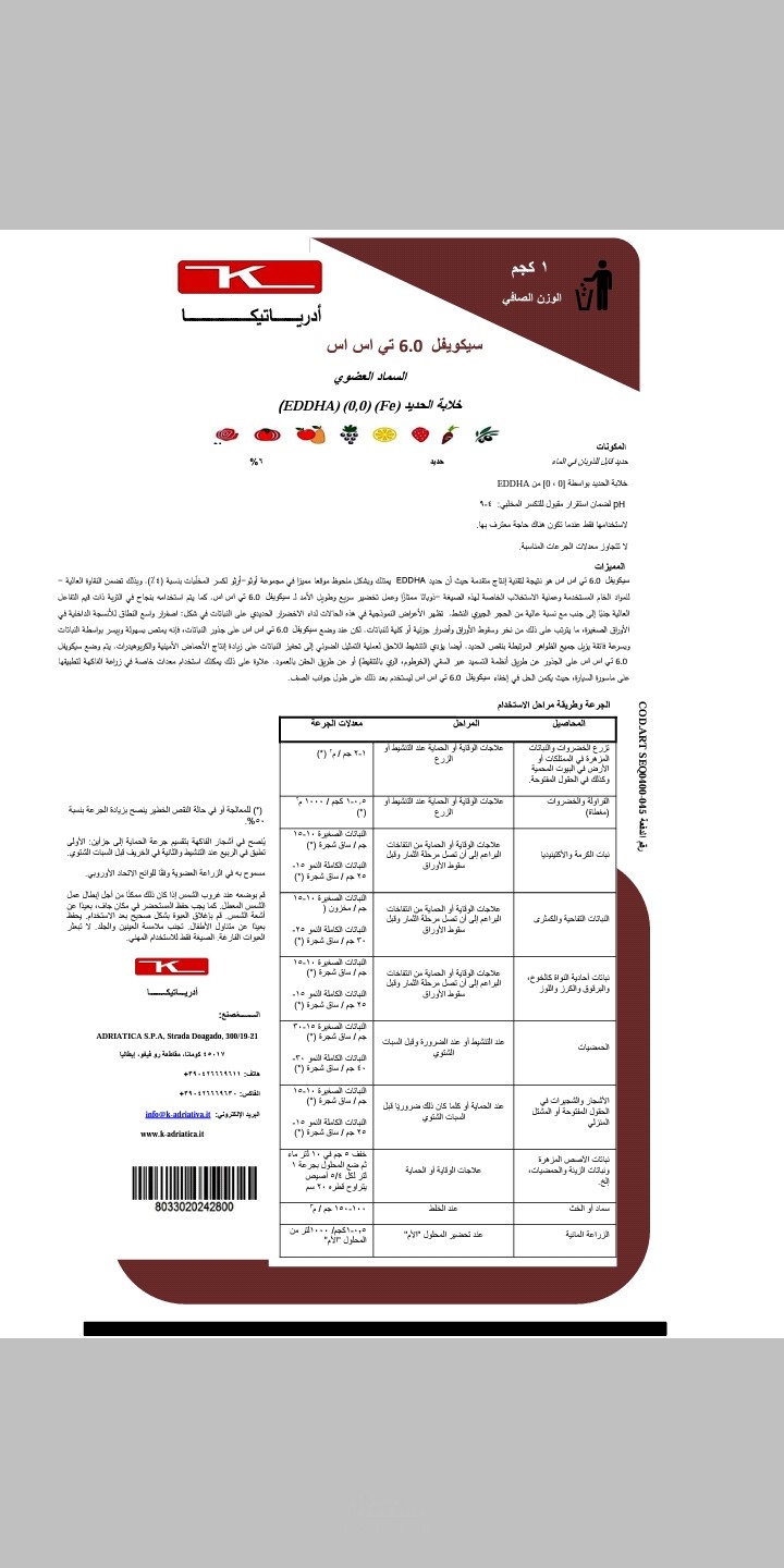 ادرياتيكا