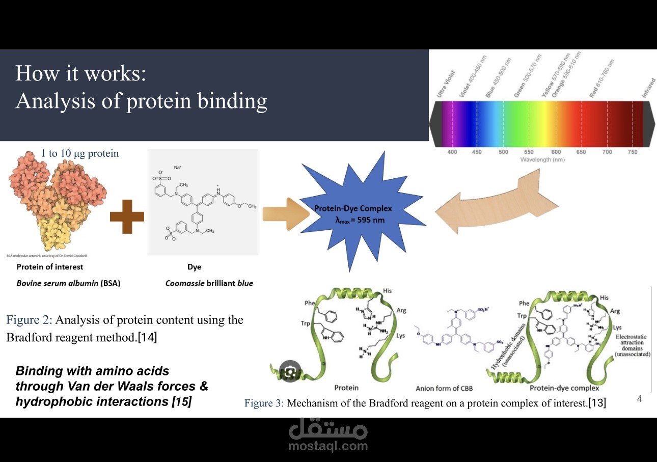 عرض بوربوينت لمادة الكيمياء التحليلية(Bradford method for total protein determination)