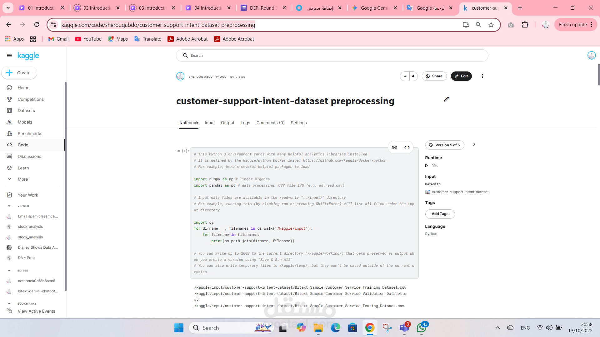 customer-support-intent-dataset preprocessing