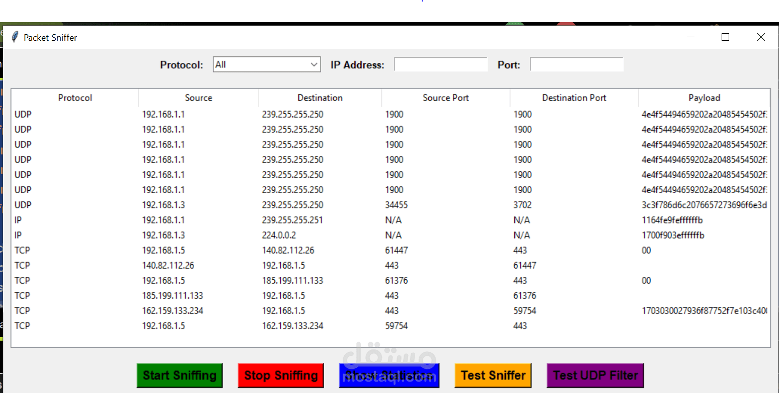 Network Packet Sniffer