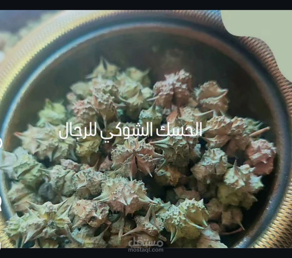 الحسك الشوكي قنبلة الرجولة والطاقة