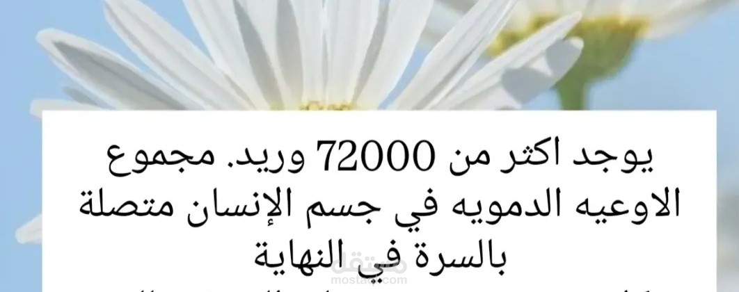 التداوي عن طريق السرة