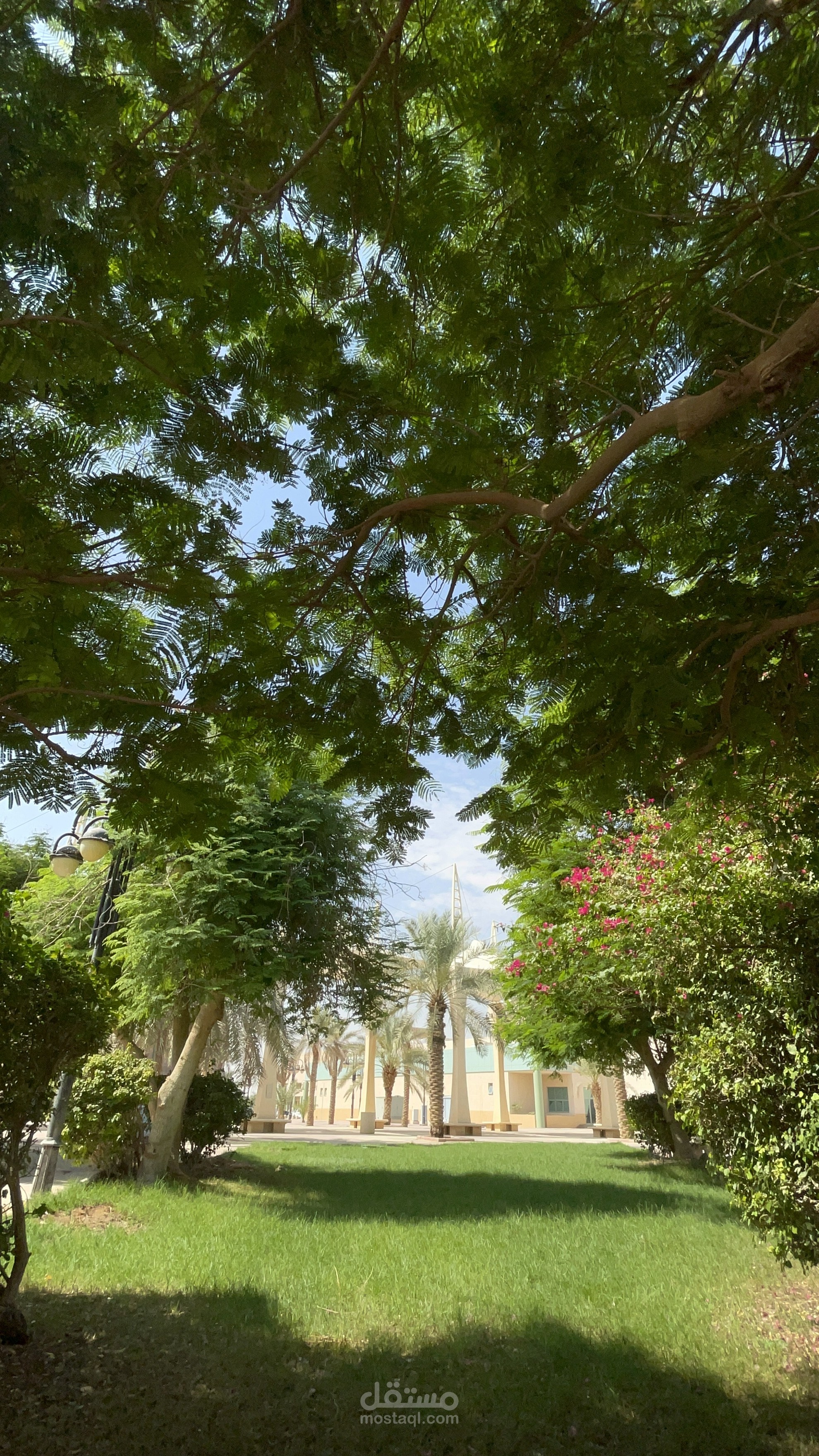 شتاء الخرج