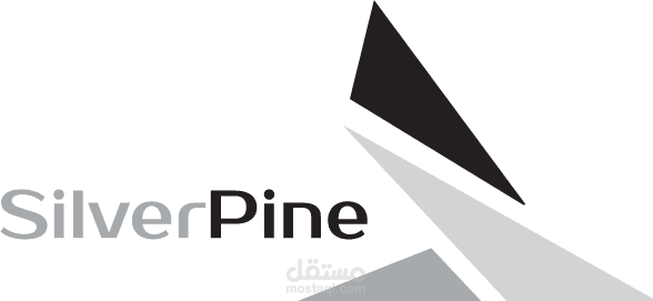 Silver Pine Holding – Trading Investments