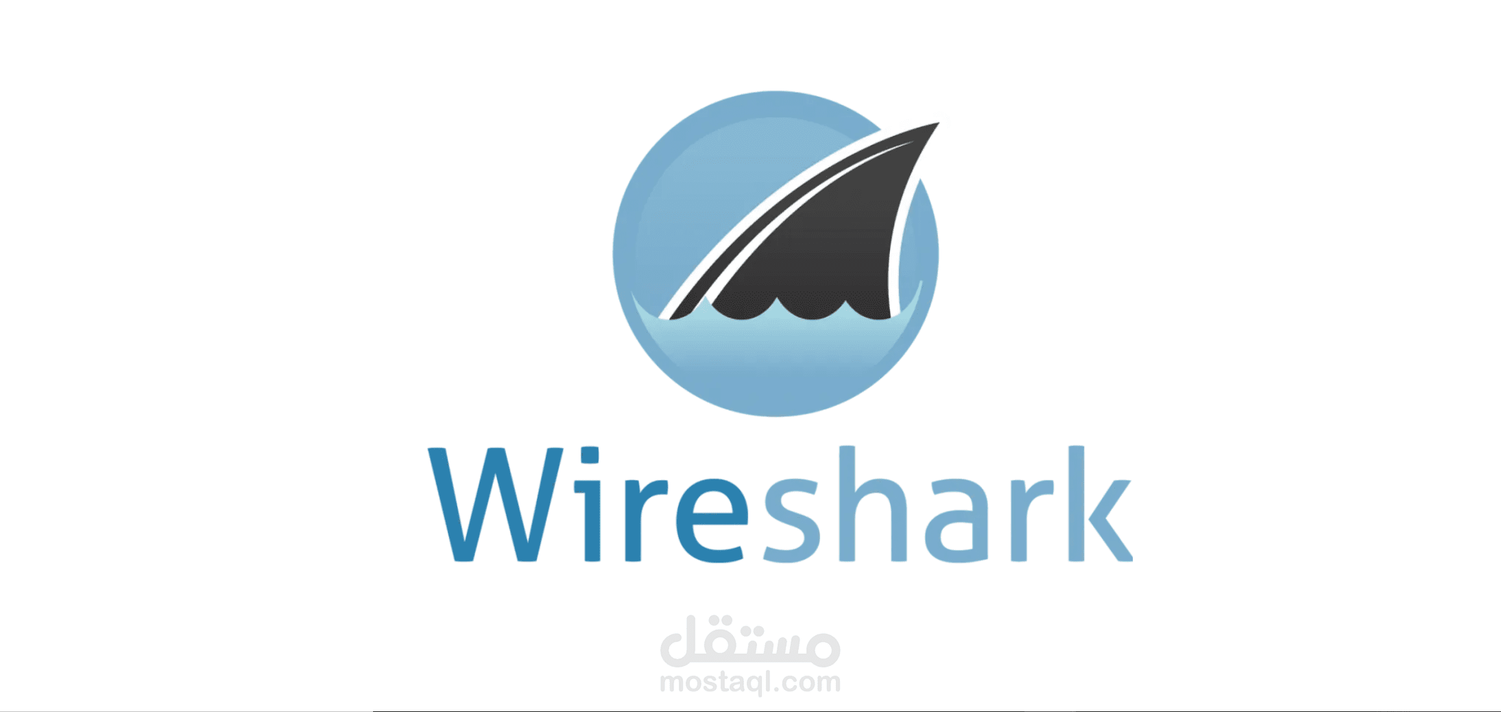 خدمات Wireshark الشاملة (تحليل – إعداد – حل مشاكل)