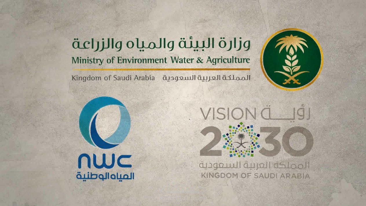 الدليل الارشادى للشركة الوطنية بالمملكة العربية والسعودية  رؤية 2030