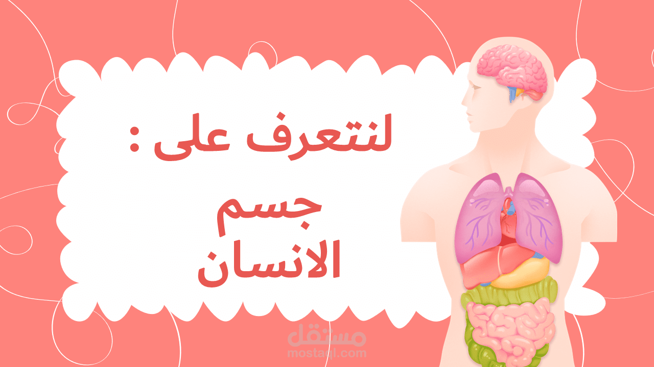 جسم الانسان بطريقة ترفيهية موجه للاطفال