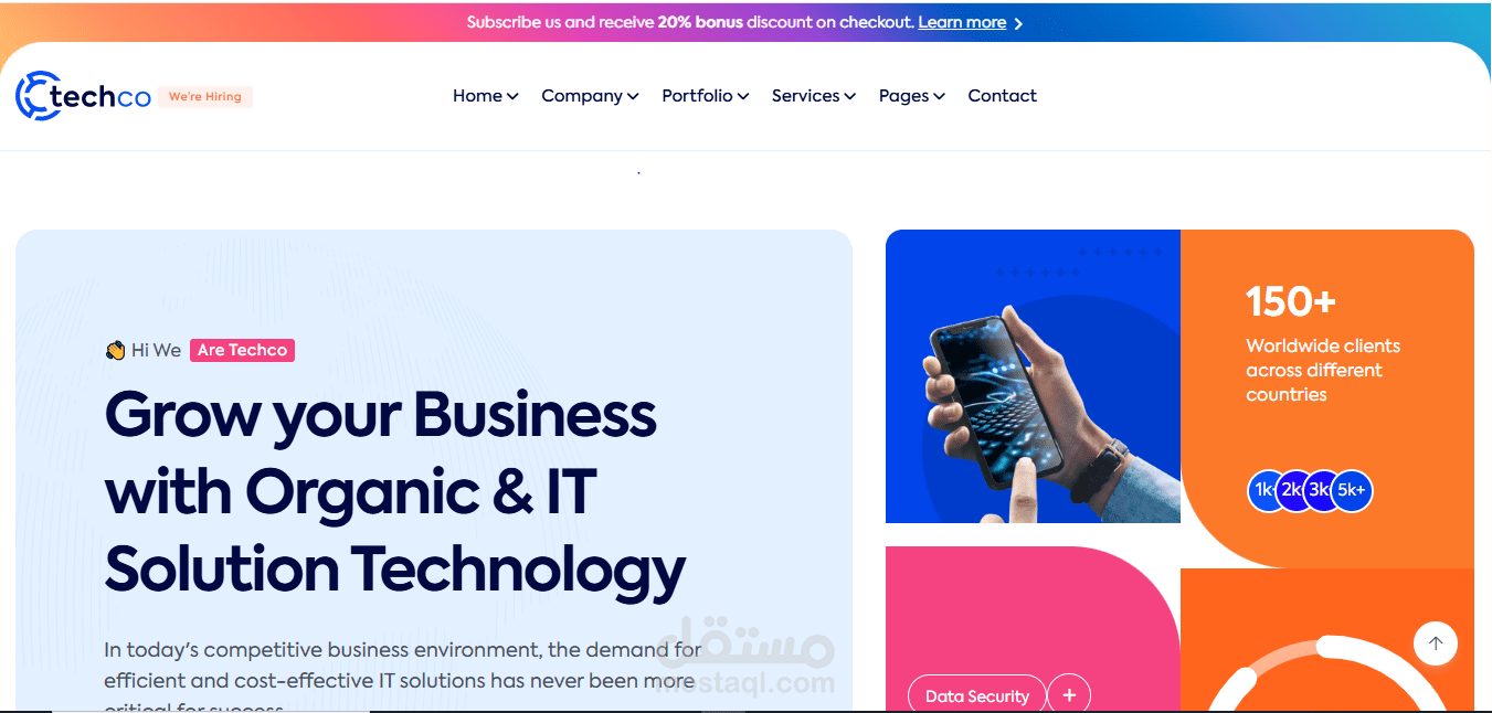 Portfolio for software-company