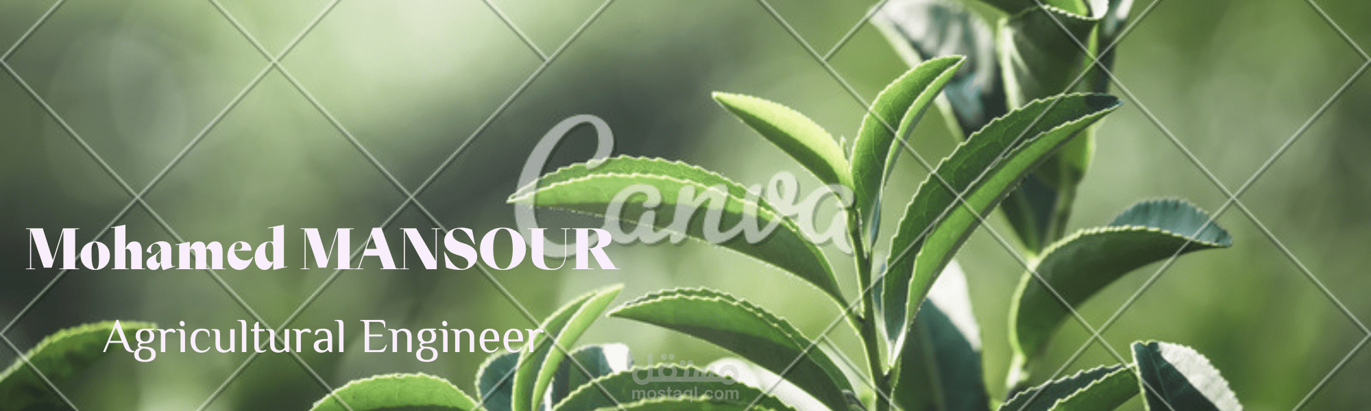 بانر لينكد ان