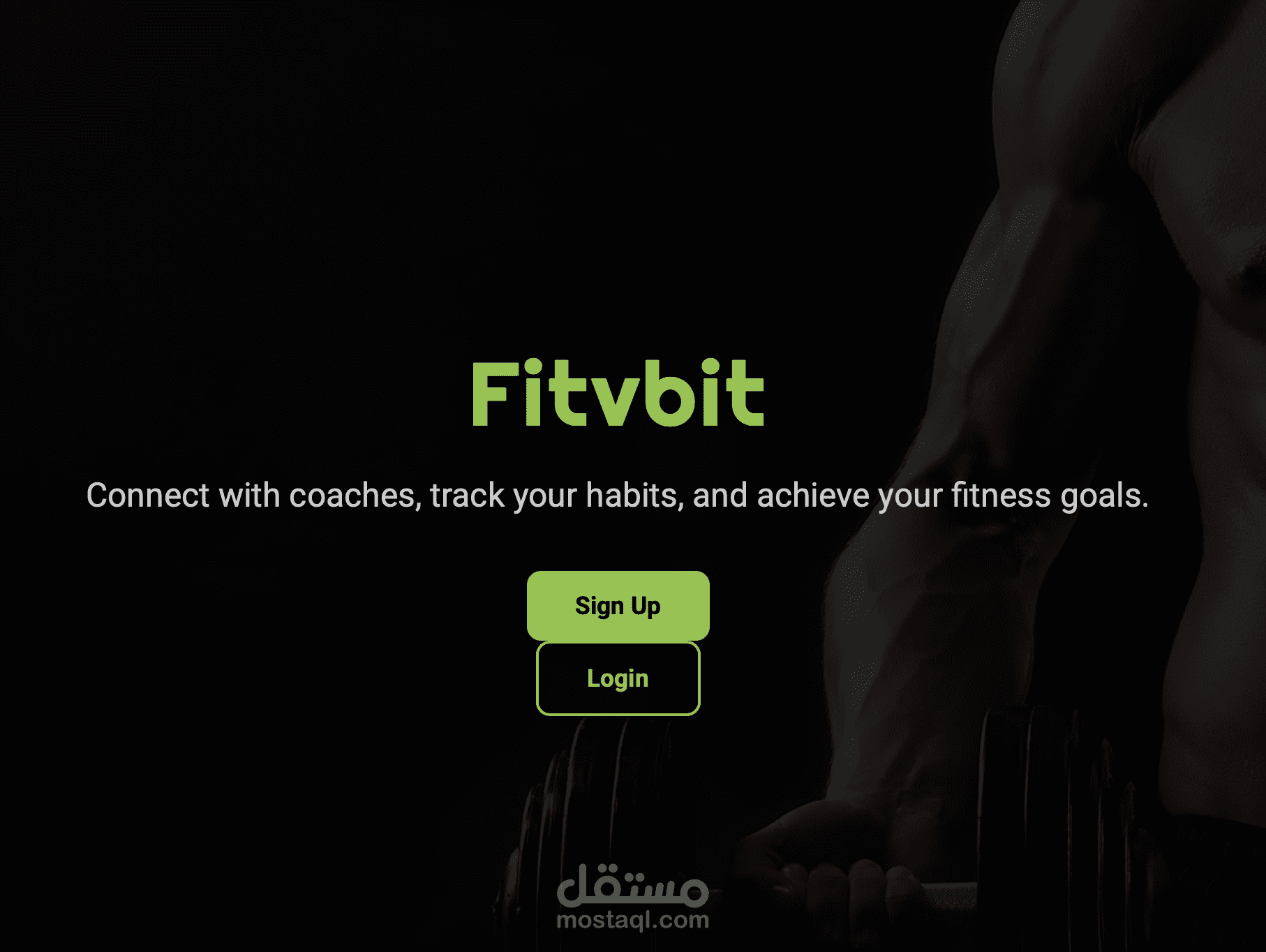 fitvbit.com