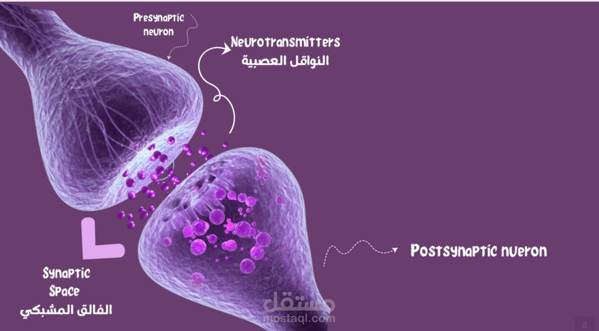 تصميم محتوى مرئي لمفاهيم علمية