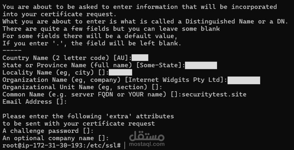 نشر وتأمين تطبيقات Node.js باستخدام Docker و Nginx مع تشفير SSL