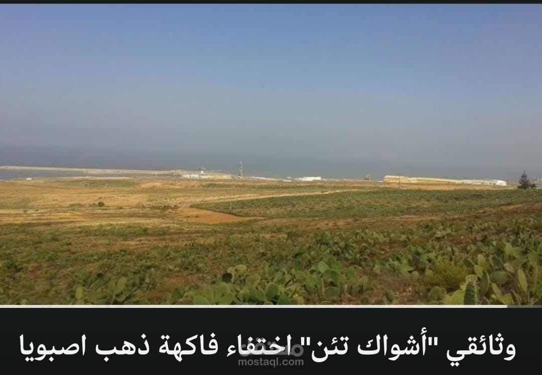 تعليق صوتي لوثائقي بعنوان "أشواك تئن" – اختفاء فاكهة ذهب اصبويا