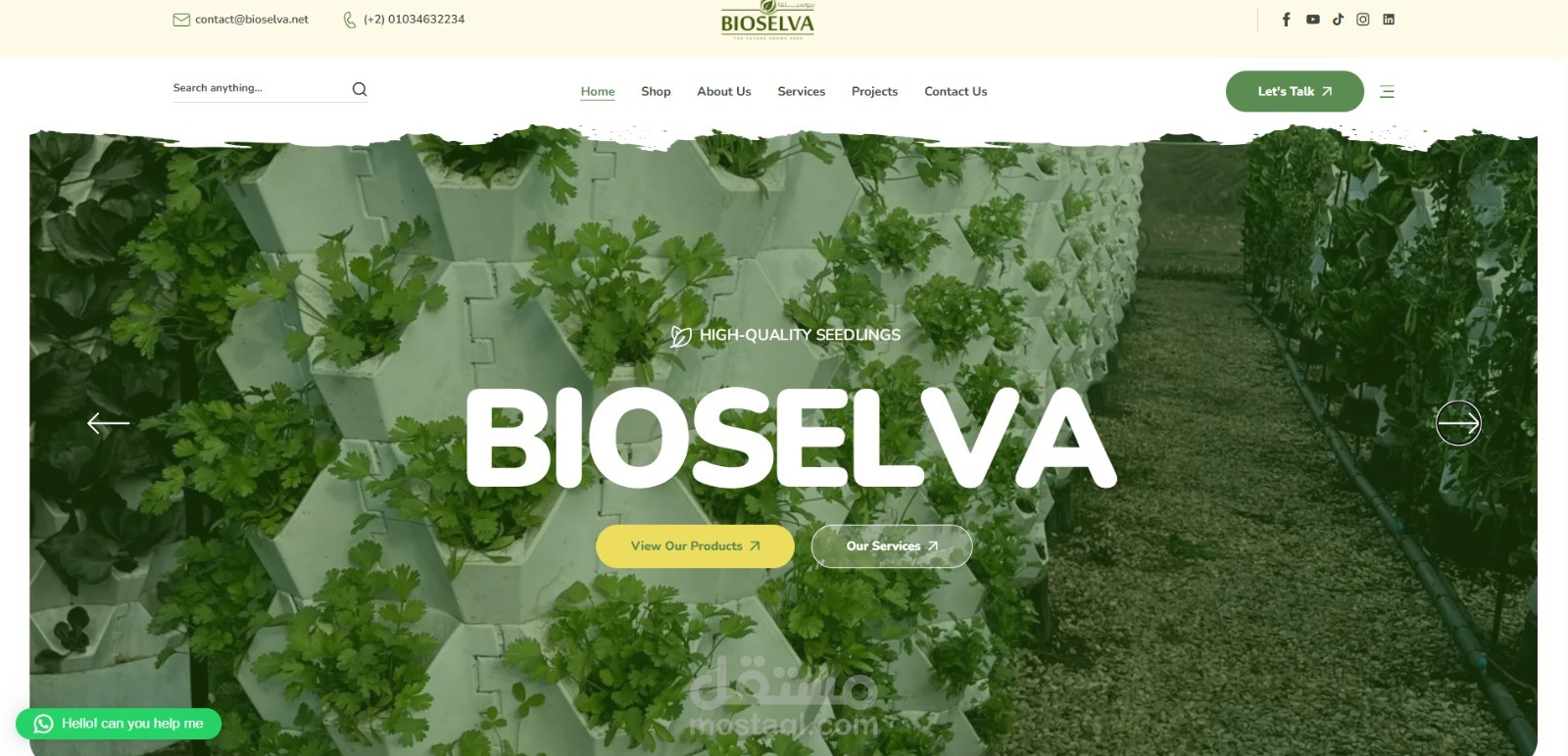 تطوير واجهات وتحسين أداء (SEO & Performance) لمتجر BioSilva للتقنيات الزراعية (WordPress)