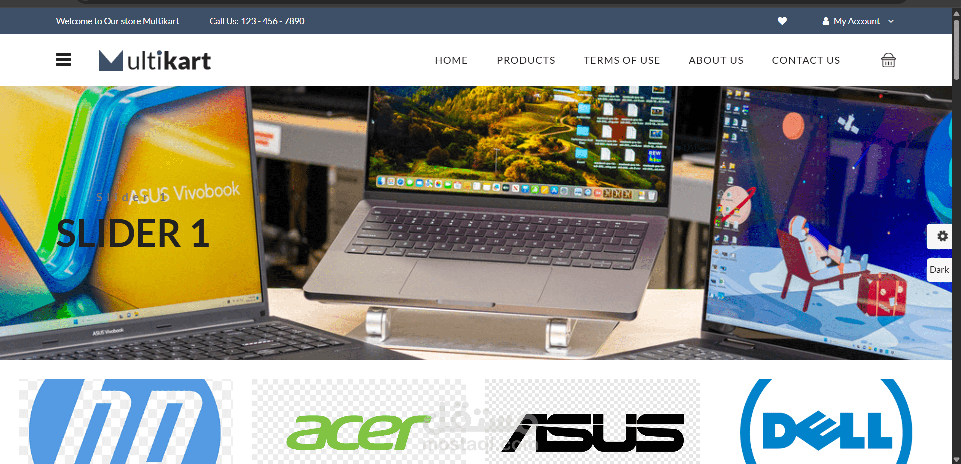 Ecommerce Website