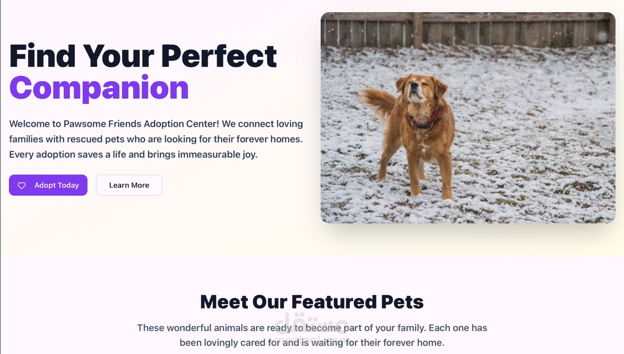 Pawsome Friends - مركز تبني الحيوانات الأليفة