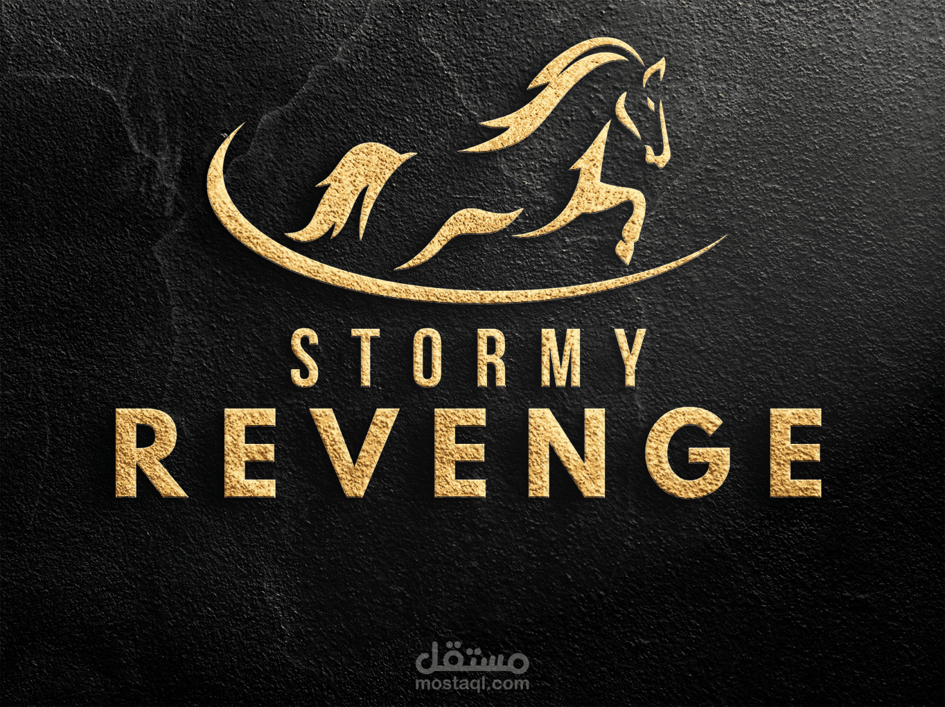 Stormy Revenge – Premium Logo Design
