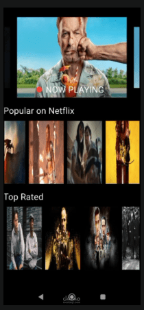 Netflix App – Flutter & TMDB API Integration