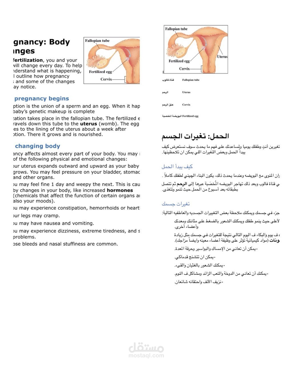 ترجمة مقال طبي حول الحمل والتغيرات الجسدية المصاحبة له