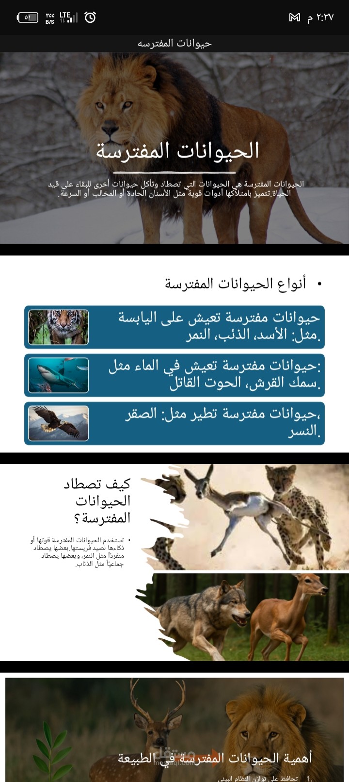 أنواع الحيوانات المفترسة
