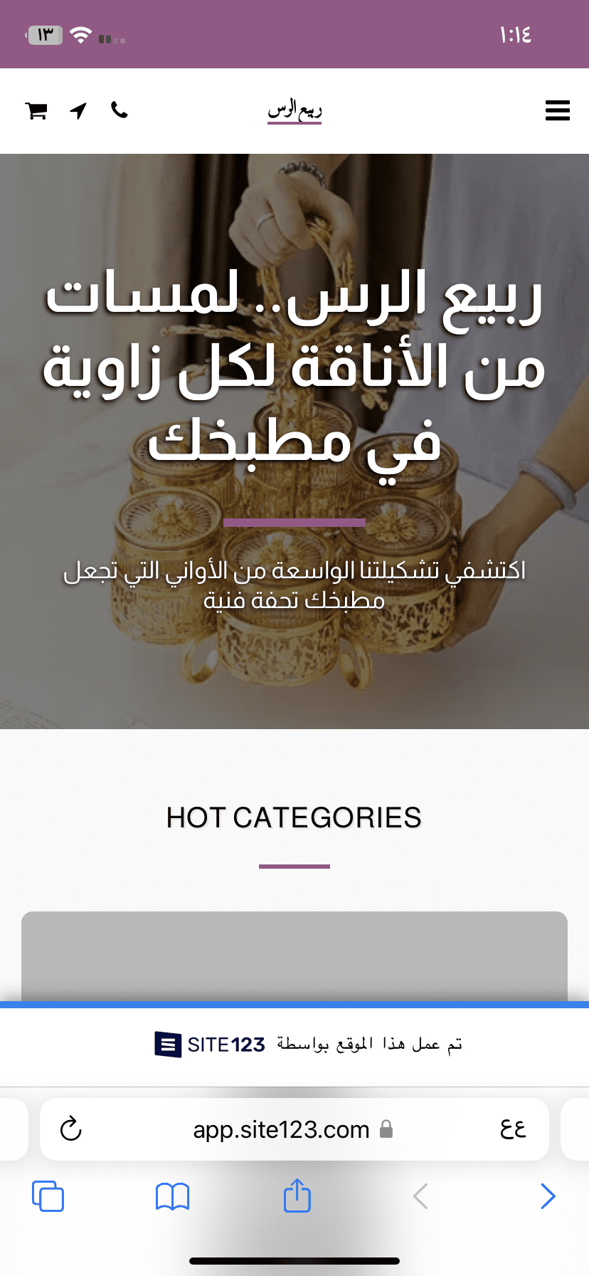 تصميم موقع ويب