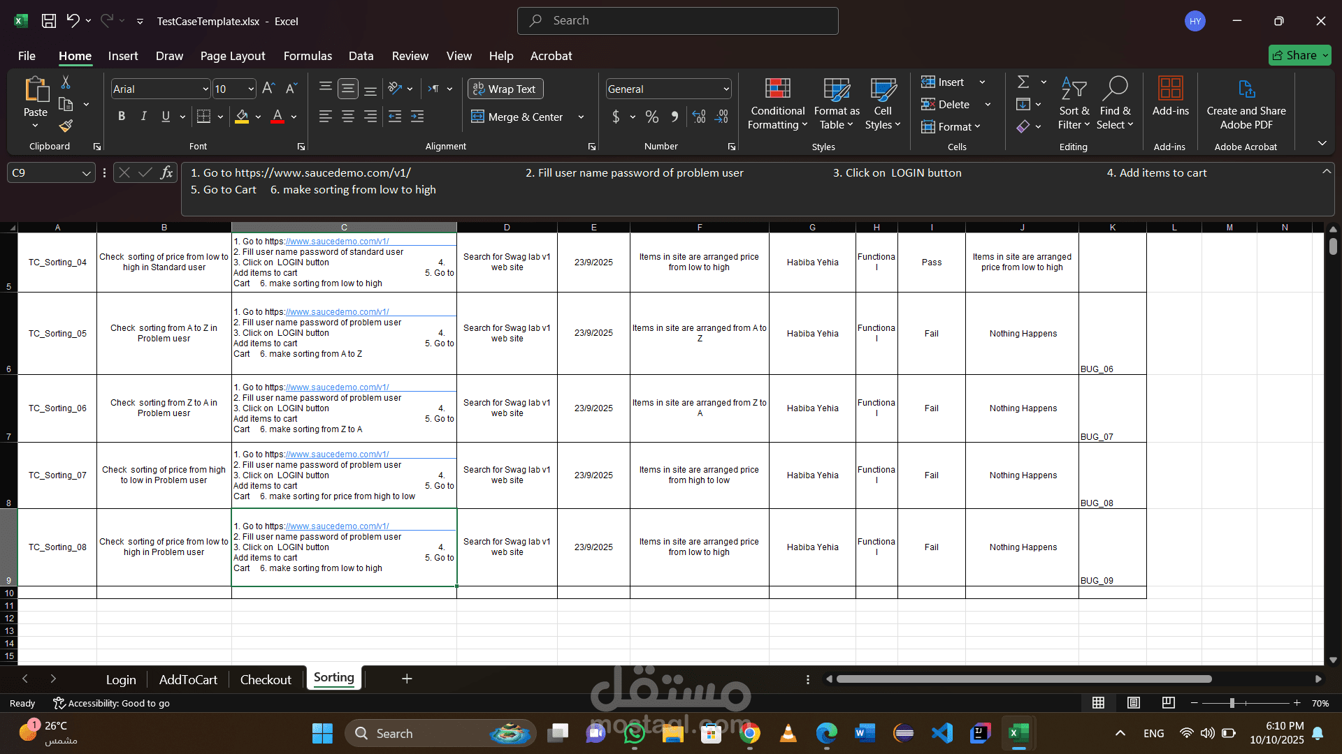 Making Test case & bug reports for swag lap v1 website