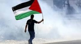 مقال عن القضية الفليسطينة منذ نشأتها