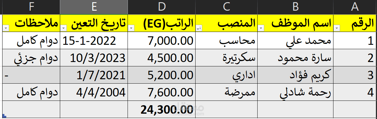 نموذج ادخال بيانات EXCEL