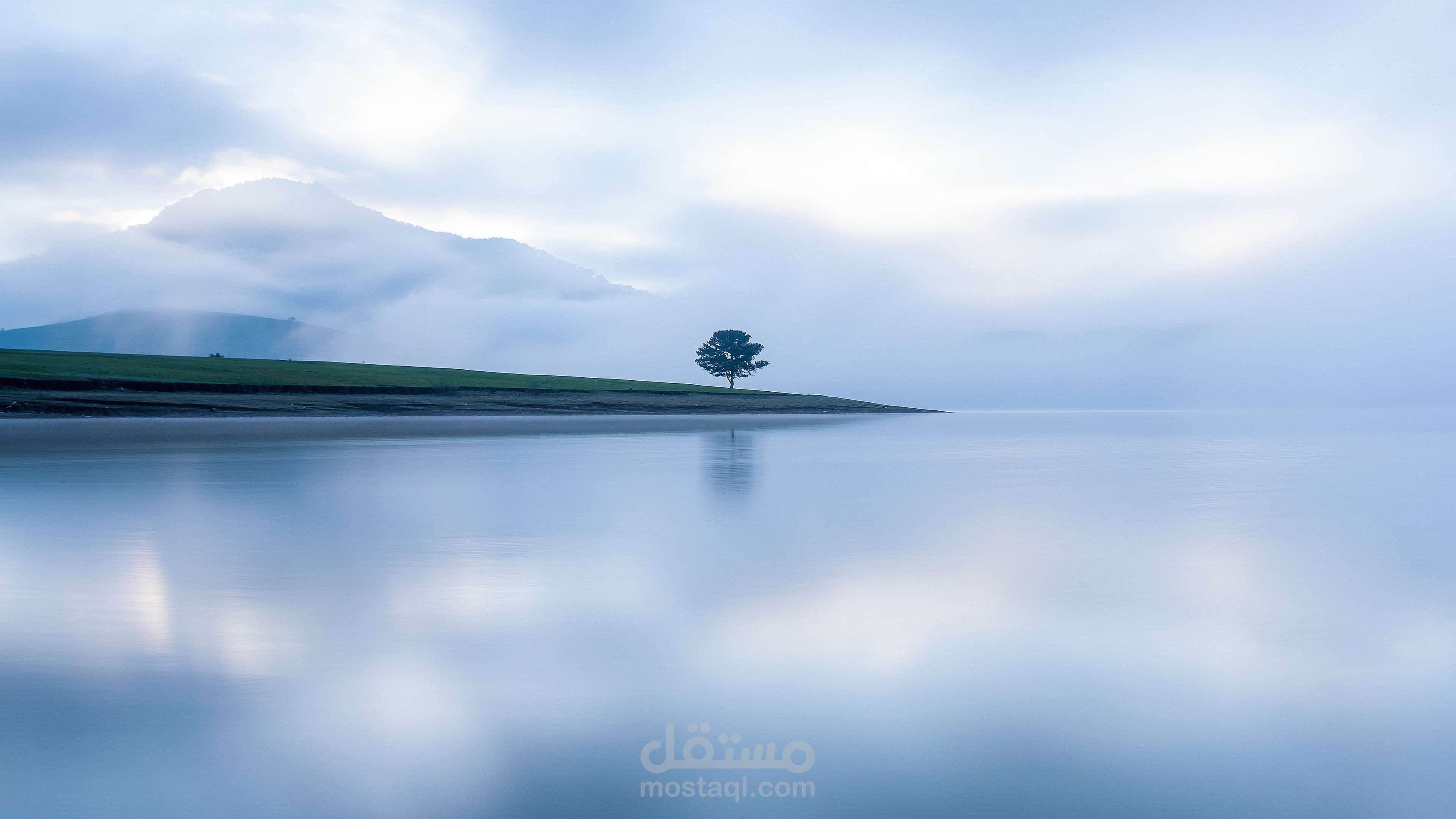 سبر اغوار النفس