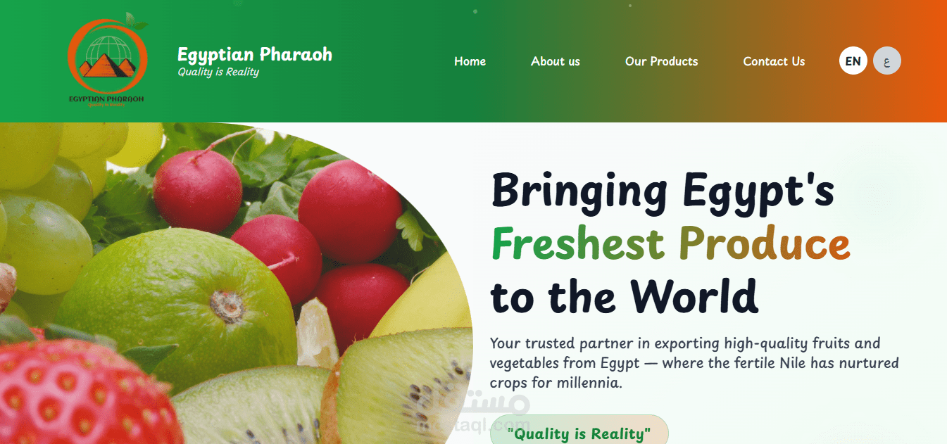 موقع تعريفي لتصدير الفواكه والخضروات — Pharaoheg