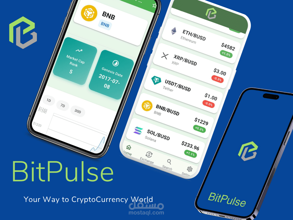 Bitpulse Application