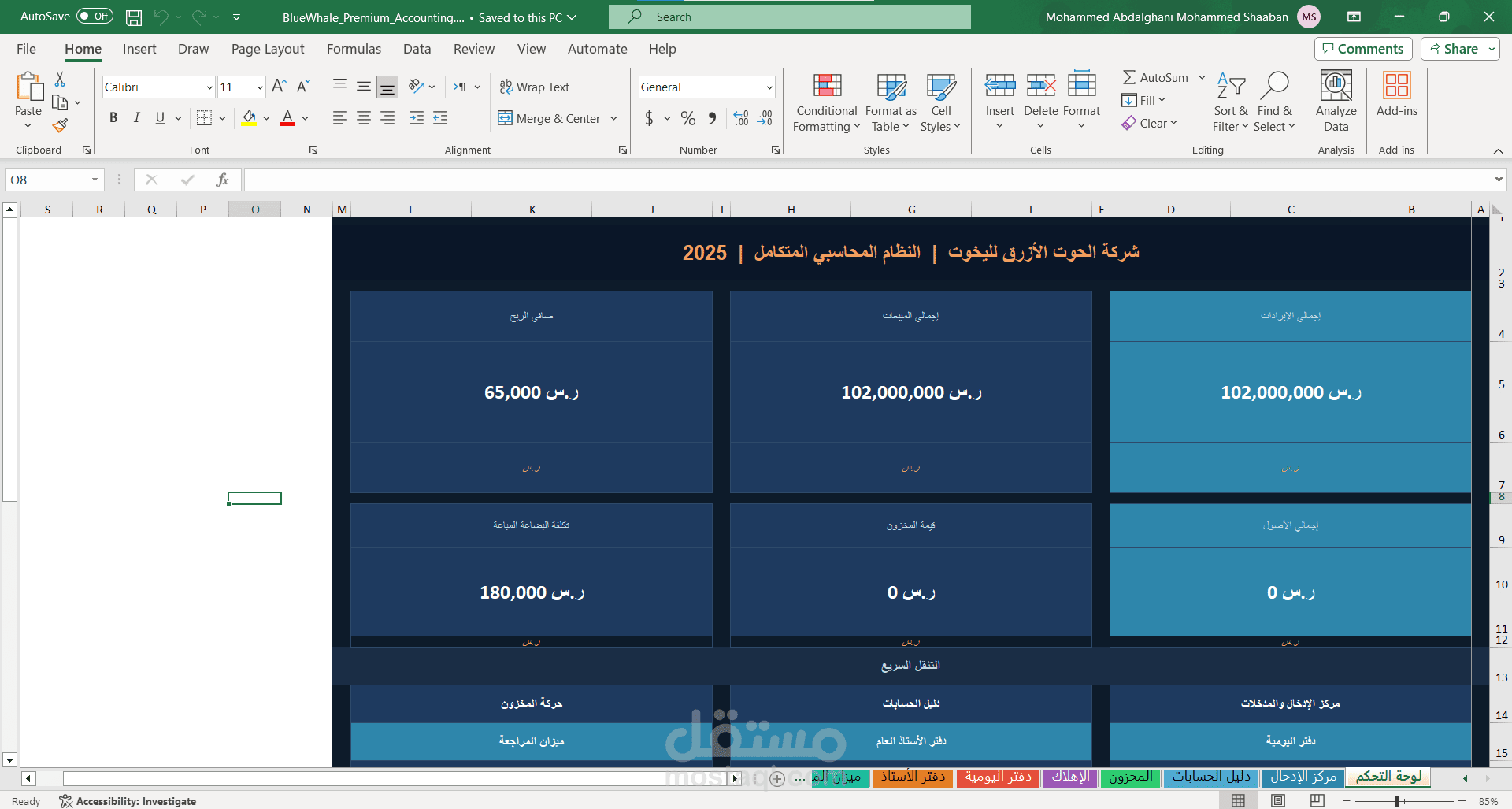 BlueWhale Premium Accounting System – Advanced Excel Accounting Workbook