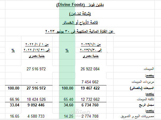 قوائم مالية وتحليل مالي لشركة منتجات غذائية (دفاين فودز)
