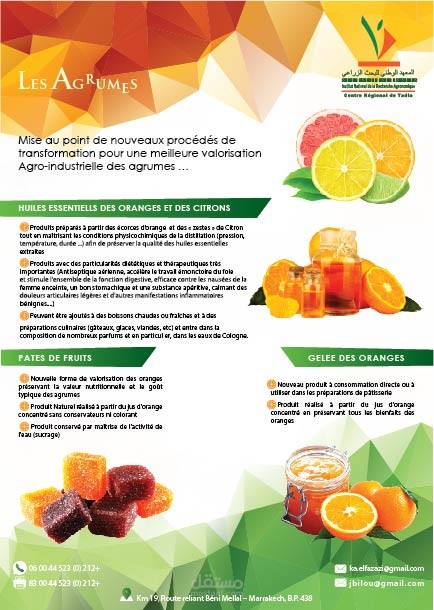 Flyer Les agrumes