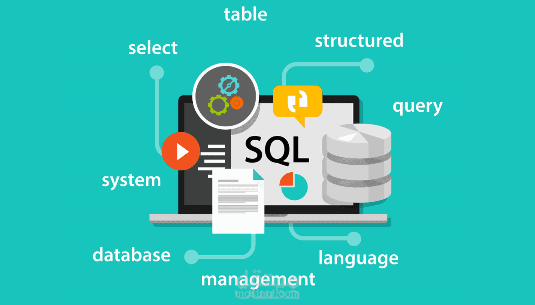 Examination Database