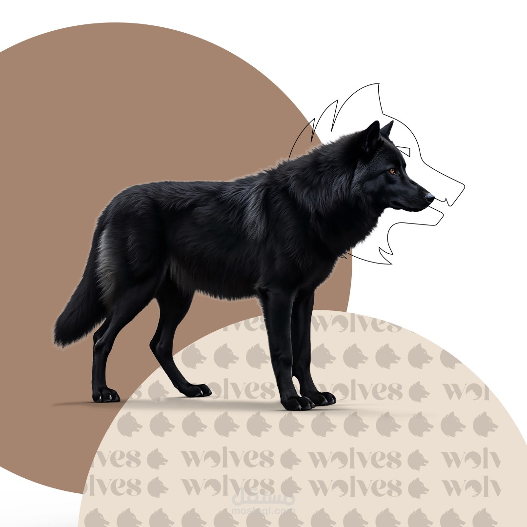 تصميم هوية بصرية لبراند WOLVES