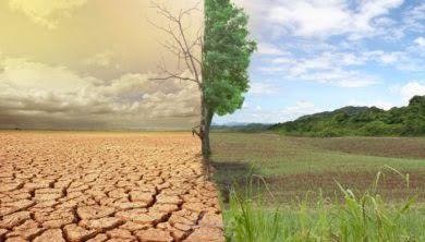 ملخص تقييم الأثر البيئي والاجتماعي  لأعمال إنشاء وتشغيل البنية التحتية البحرية في ميناء ......، ومعالجةً لملاحظات هيئة .............