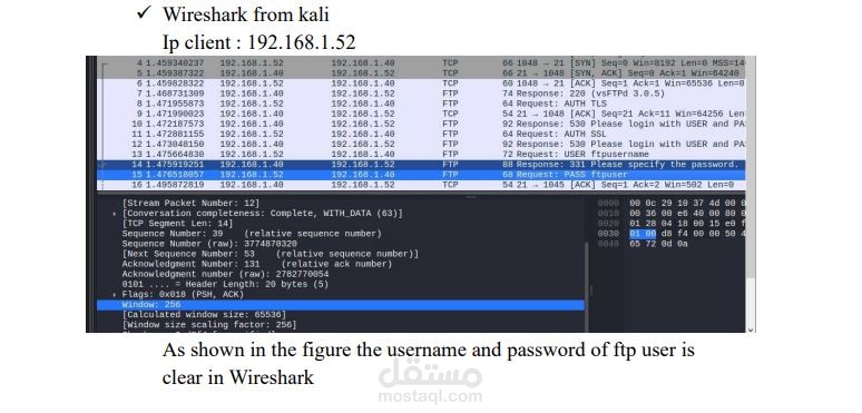 Setting Up an FTP Server and Analyzing FTP Traffic