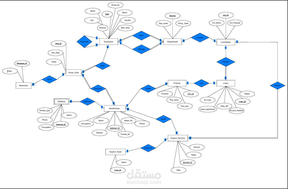 نظام متكامل لإدارة المنظمات غير الربحية (NGO) وقواعد بيانات العمل الاجتماعي