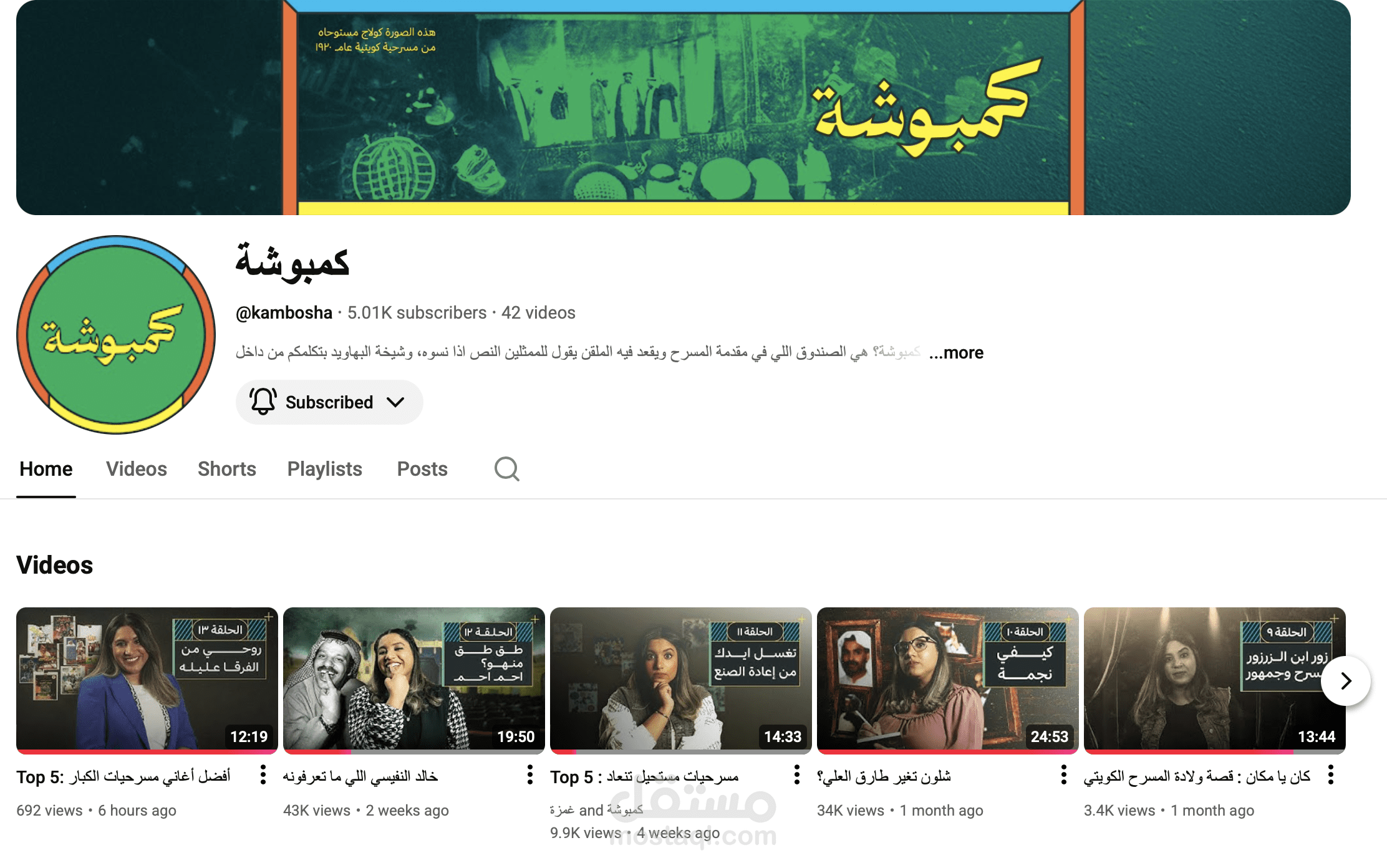 تقديم وإعداد برنامج فني