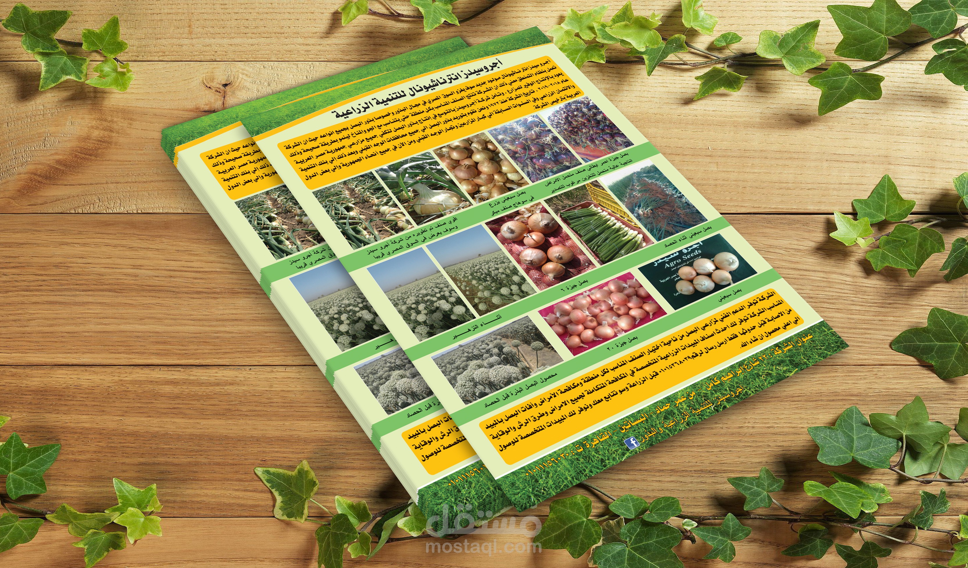 تصميم فلاير شركة منتجات زراعية