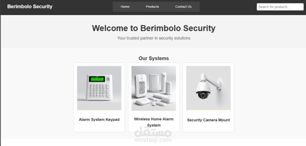 Berimbolo Security - صفحة هبوط لشركة امن