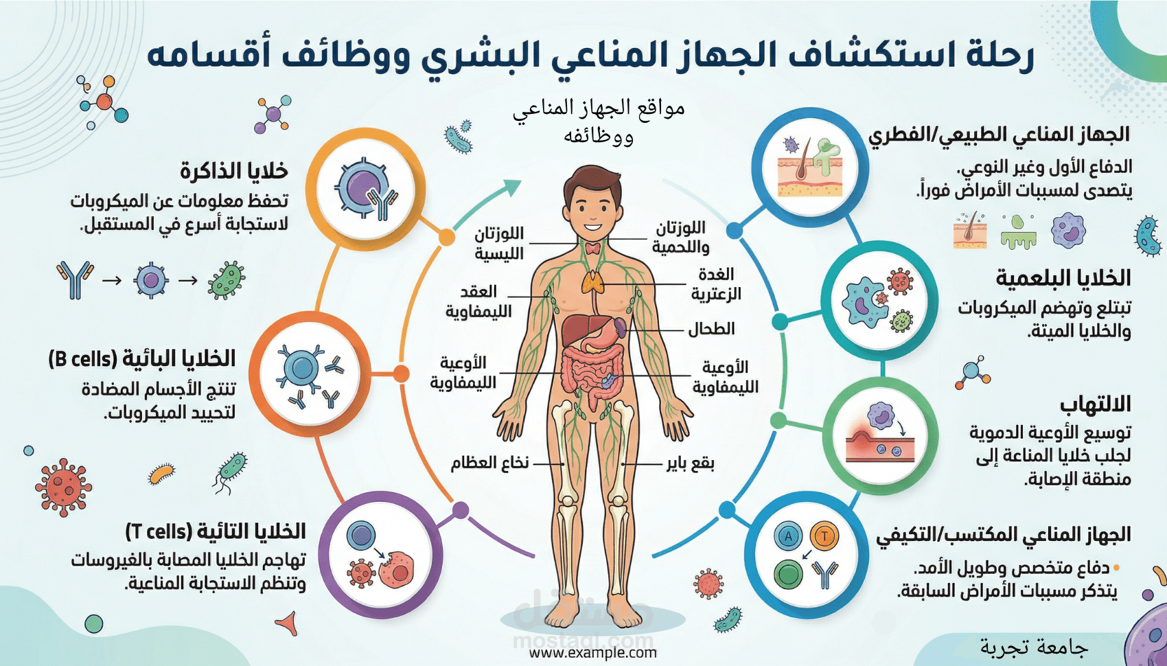 تصميم إنفوجرافيك تعليمي احترافي للمناهج الجامعية والعلمية