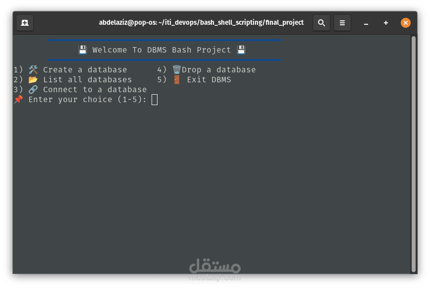 DBMS - bash