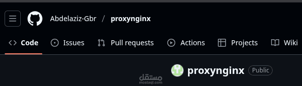 nginx proxy