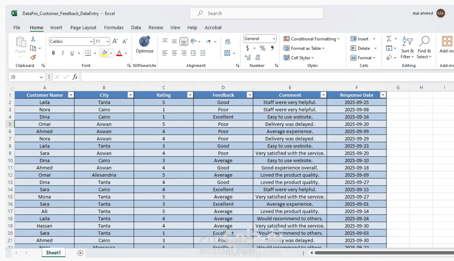 إدخال وتنظيم البيانات (Data Entry)