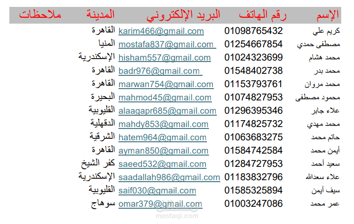 Customer Data Sheet