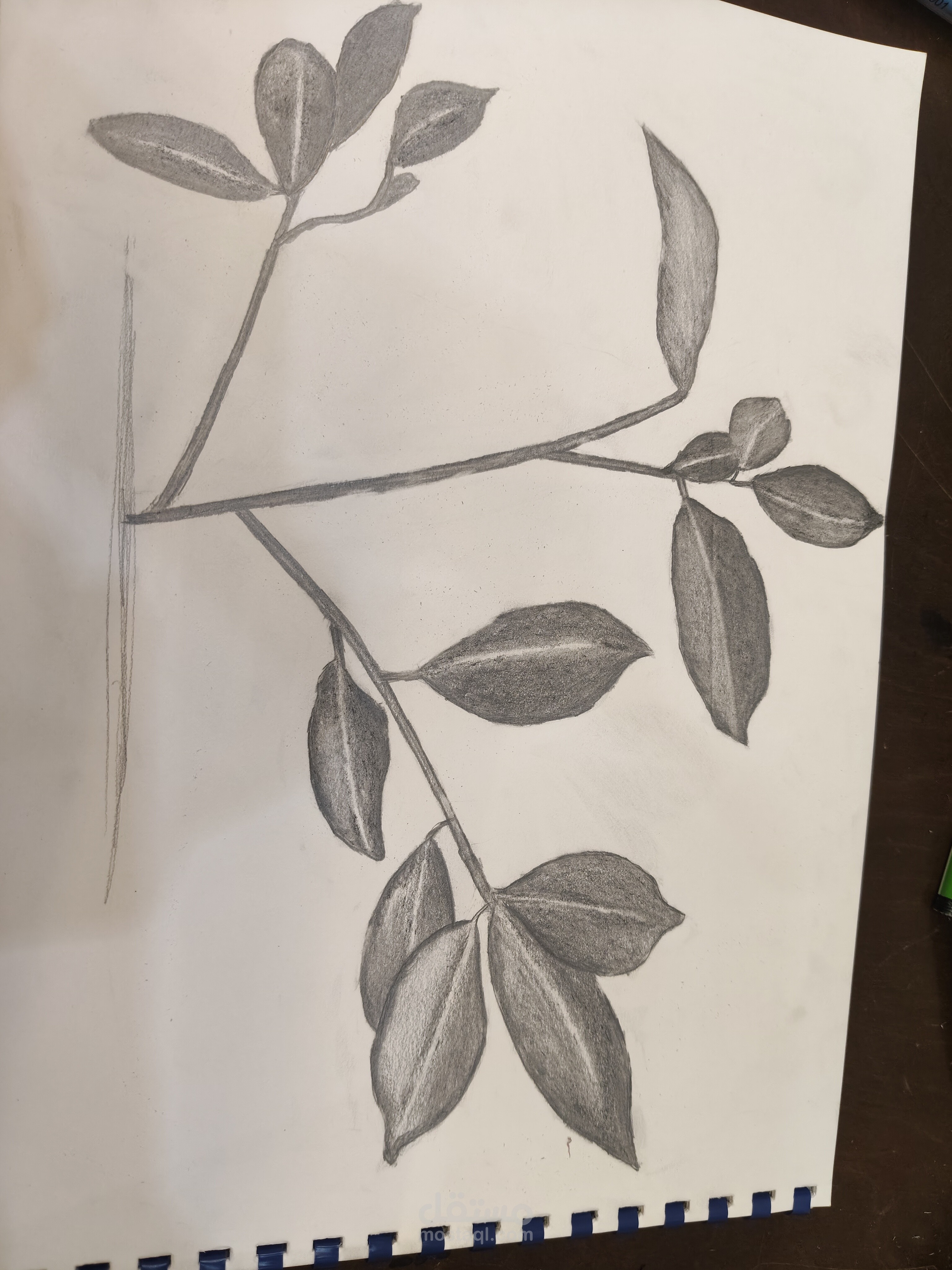 رسم طبيعه