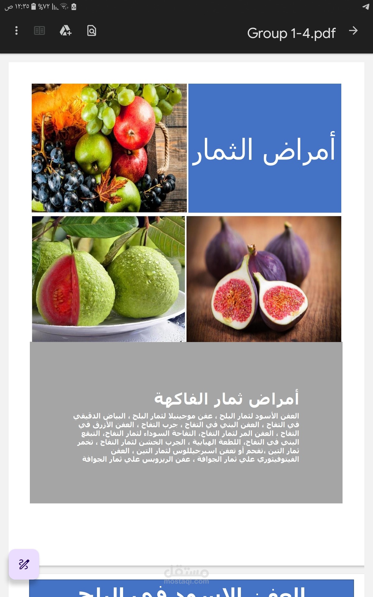 إعادة الطباعة retyping